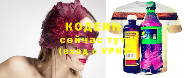 гашик Верея