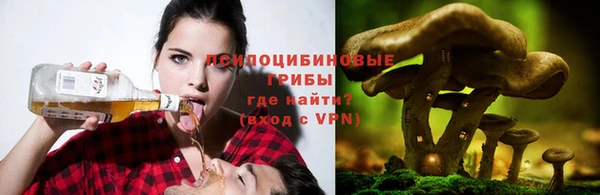 гашик Верея