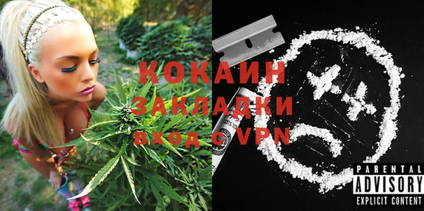 гашик Верея