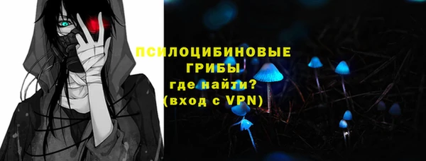 гашик Верея