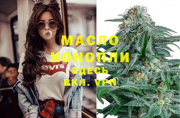 гашик Верея