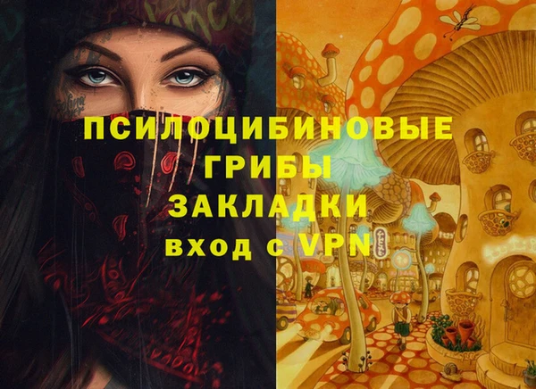 гашик Верея