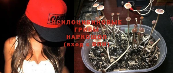 мдпв Няндома