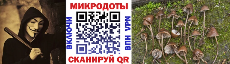 Галлюциногенные грибы MAGIC MUSHROOMS Кингисепп