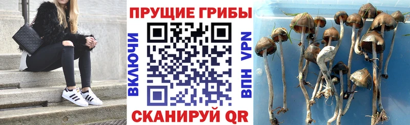 Галлюциногенные грибы ЛСД  Кингисепп 